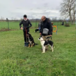 Rencontre canine : une expérience enrichissante pour nos toutous (mais pas que ... ) rc2