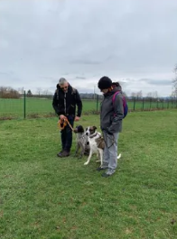 Rencontre canine : une expérience enrichissante pour nos toutous (mais pas que … )