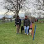 Rencontre canine : une expérience enrichissante pour nos toutous (mais pas que ... ) rc4