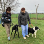 Rencontre canine : une expérience enrichissante pour nos toutous (mais pas que ... ) rc5